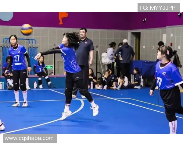 排球团队协作实力评比北京排球队荣获第七名佳绩