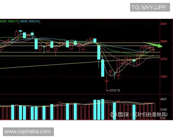 武汉乒乓球队与南京乒乓球队赛后复盘分析比赛节奏与战术对决