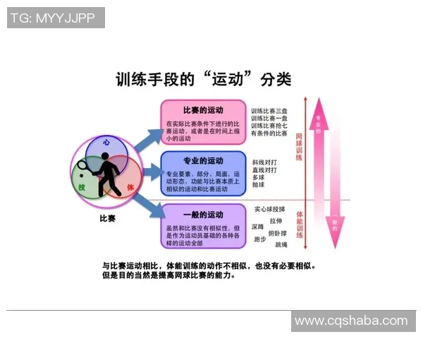 科学网球战术训练方法探索与实践提升竞技水平的有效途径