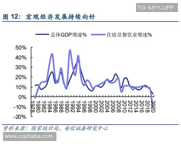 历年足球转会市场回顾与分析揭示球员流动背后的经济与战术趋势