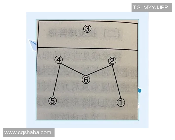 南京排球队边路渗透战术解析与深度剖析排球比赛中的关键策略