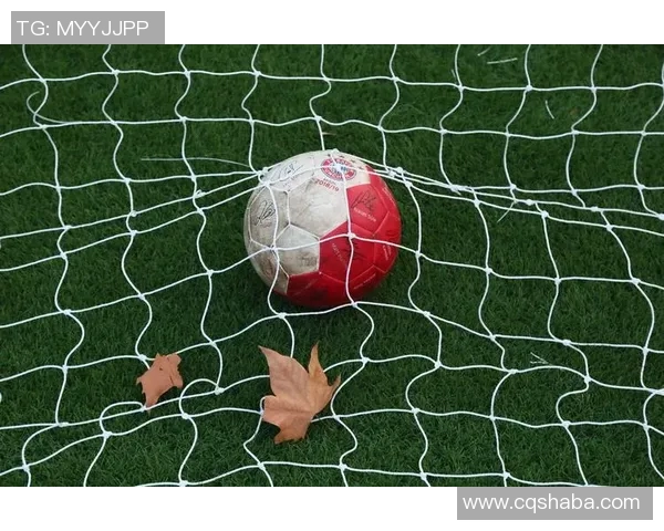 苏特足球：探索足球的魅力与激情，感受团队合作的力量与胜利的喜悦