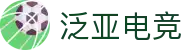 泛亚电竞·(中国区)电子竞技平台