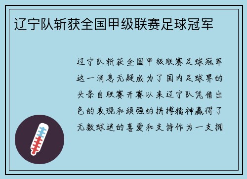 辽宁队斩获全国甲级联赛足球冠军