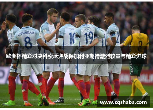 欧洲杯精彩对决科索沃迎战保加利亚期待激烈较量与精彩进球