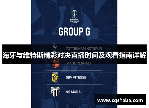 海牙与维特斯精彩对决直播时间及观看指南详解