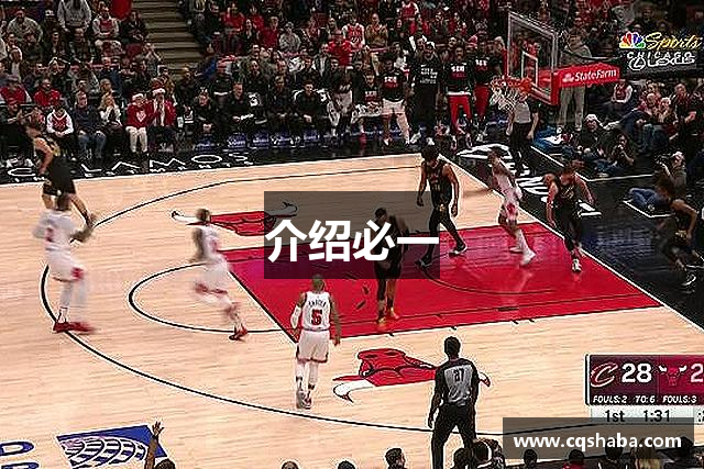 介绍必一